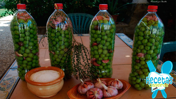 Aceitunas manzanillas en salmuera