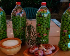 Aceitunas-en-salmuera-receta