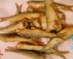 Sardinas-fritas-receta-de-pescado