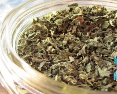 Oregano hierbas aromáticas
