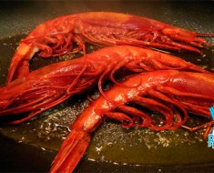carabineros-a-la-plancha-recetas-de-marisco