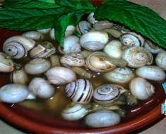 Caracoles-a-la-andaluza-Receta-casera